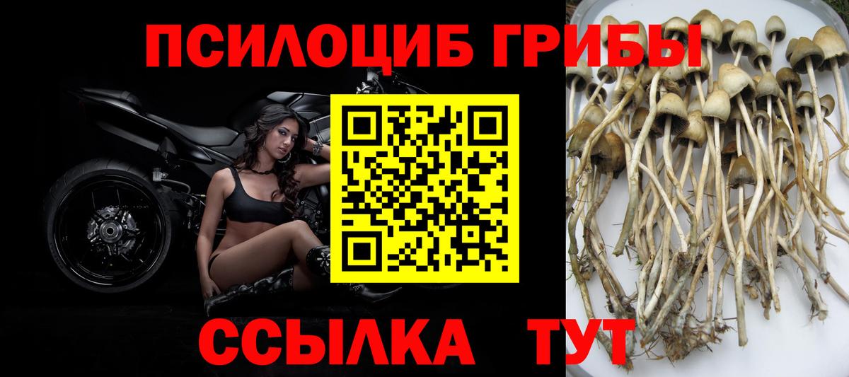 Галлюциногенные грибы GOLDEN TEACHER Новотроицк