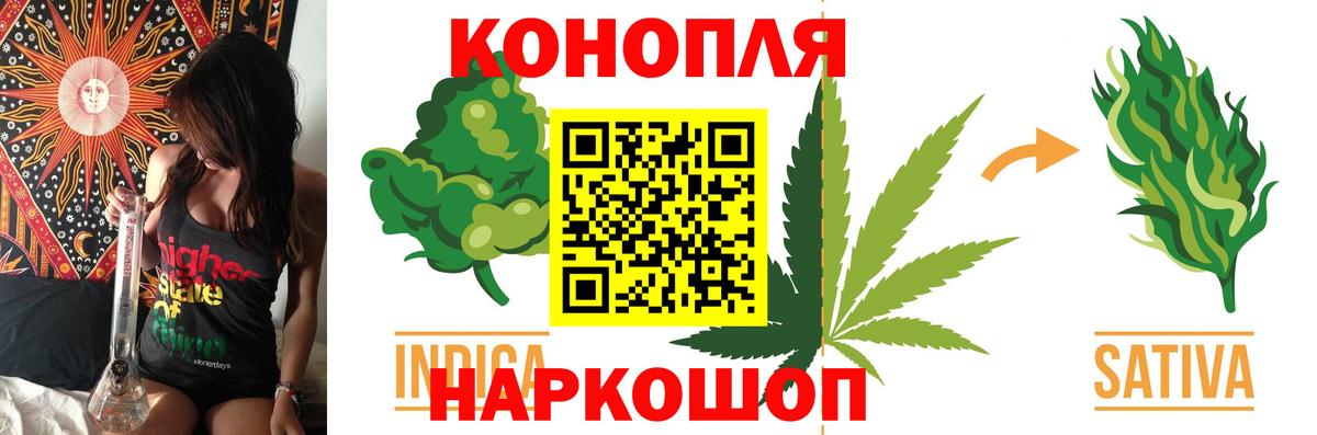 Шишки марихуана AK-47  МАРИХУАНА ГИДРОПОН  Марихуана план  Новотроицк  Вход с VPN  Конопля Bruce Banner 